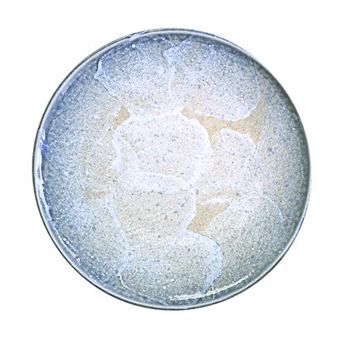 Plato redondo SHORE de 12,1 cm