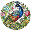 彩クジャク