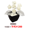 HO003