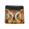 35 Owl