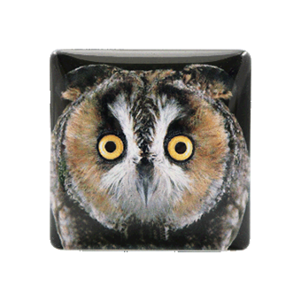 Glass memo holder square 7cm