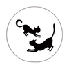 42 Par de gatos negros