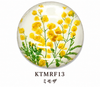 93 ミモザ