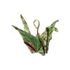 Verde variado